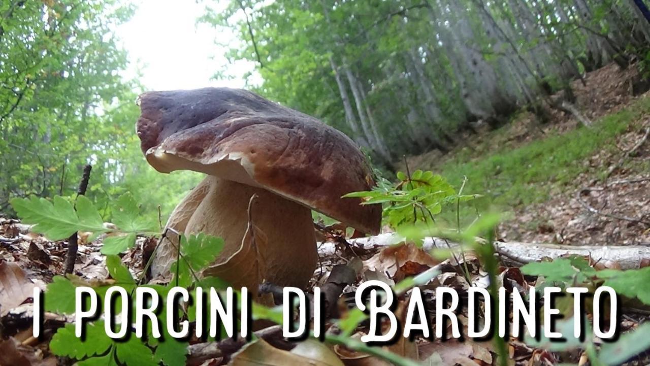 Kalimera Bardineto エクステリア 写真